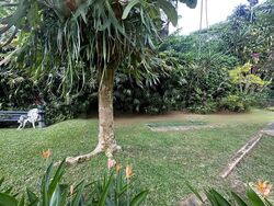 Bukit Timah Road (D10), Detached #491135801